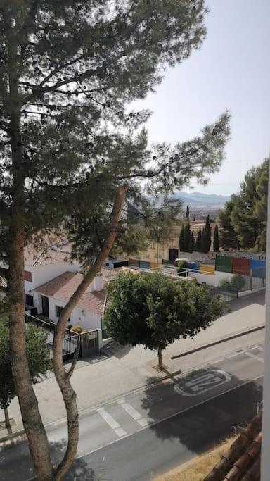 Views, Family & Private Parking In Alto Albayzin Lejlighed Granada Eksteriør billede